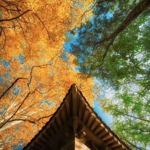 不能因为回忆 忘了分开的原因