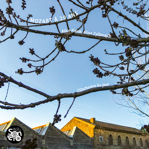 Concerto per il clavicembalo in E-Flat Major, K. 271 "Écrit pour Victoire Jenamy":II. Andantino