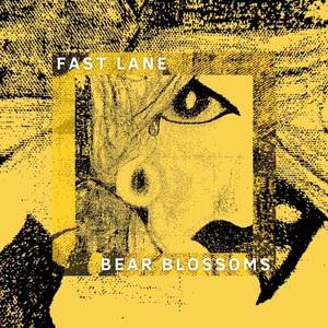 FAST LANE