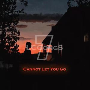 Cannot Let You Go