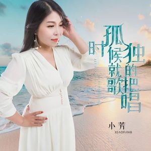 孤独的时候就把歌唱 (DJ版)