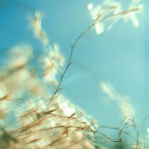 bye. (till we meet again)