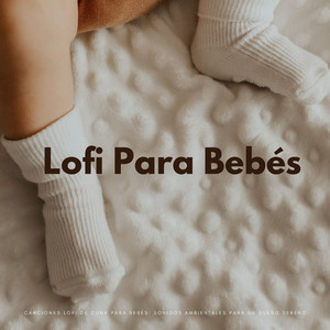 Viaje De Sueño Ambiental De Lofi