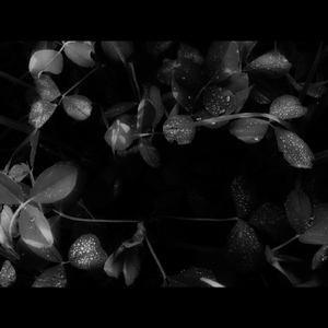 Composites (2018 Mix)