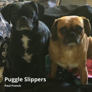 Puggle Slippers