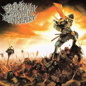 Transcending the Flesh