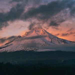 夜晚的星（解压助眠轻音乐）