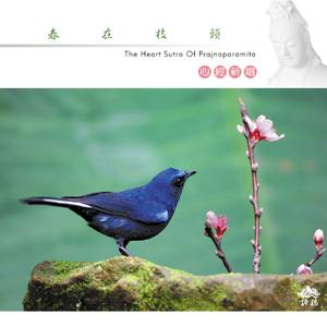 春有百花秋有月 (女声梵唱版)