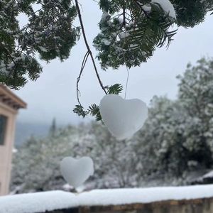 【FREE】希望之外