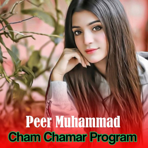 Pa dowlat man Janan Mayan Sho