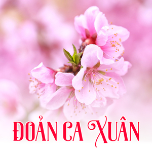 Đoản Ca Xuân