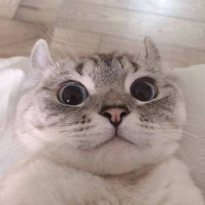 夜空中最亮的星