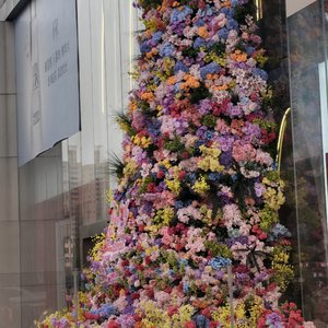 《克莱因蓝悖论》