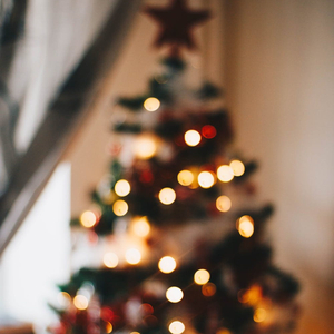 Berry Merry Christmas