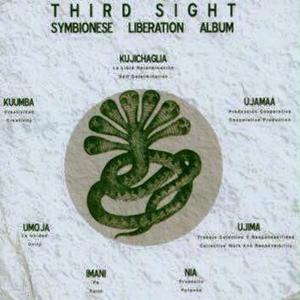 Hypothermia (feat. D-Styles & Roughneck Jihad)