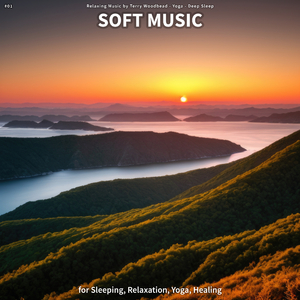 Relaxing Music for Studying