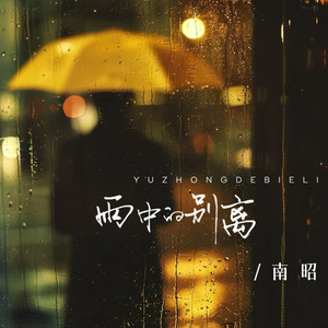 雨中的别离