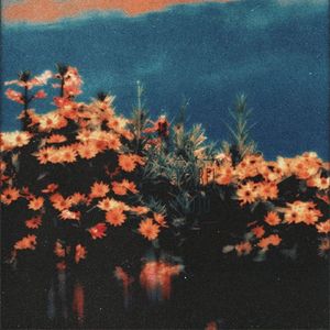 【My Monica】另类采样嘻哈说唱伴奏，tobi lou type beat