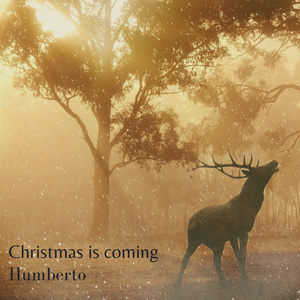 Christmas is coming