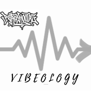 Vibeology
