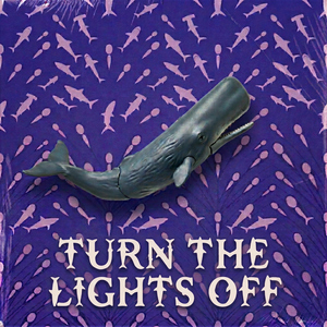 Turn The Lights Off