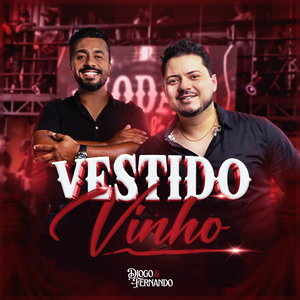 Vestido Vinho