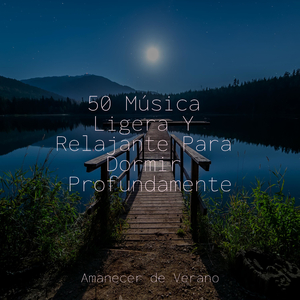 Ecos en una Piscina Resplandeciente