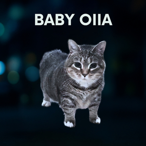 Baby Oiia