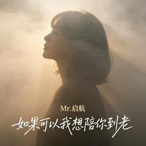如果可以我想陪你到老 (烟嗓版)