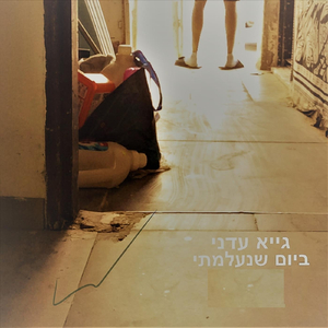 ביום שנעלמתי