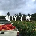 醉赤壁