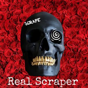 Real Scraper