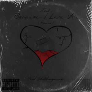 Because I Love You (Remix) (Remix)