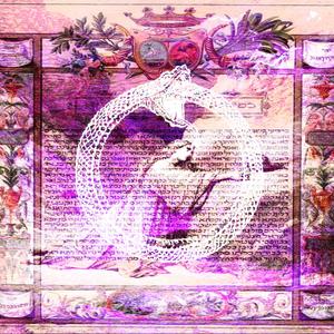 disloyal (feat. momo)