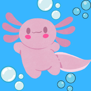 O axalote sorridente