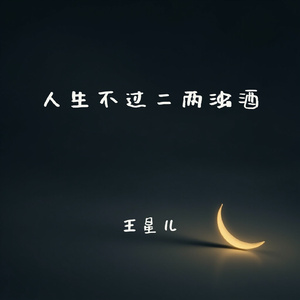 人生不过二两浊酒