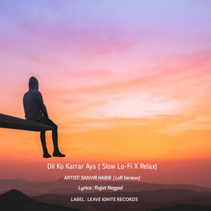 Dil Ko Karrar Aya (Slow Lo-fi × Relax)