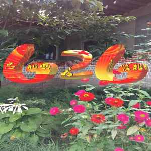 Hot Chocolate Chicken Soup