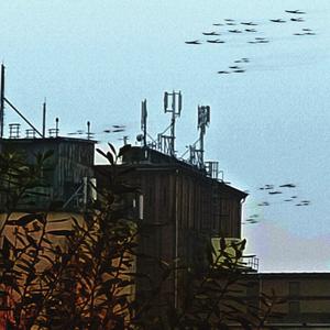 rozjebałem stare buty