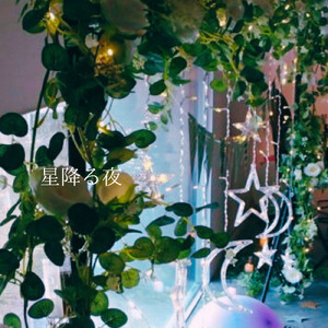 星降る夜