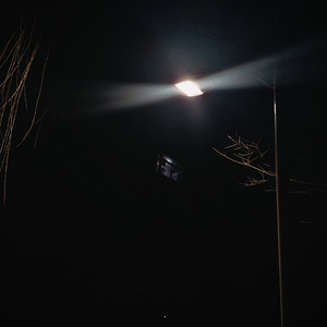 归途 Their Way Home