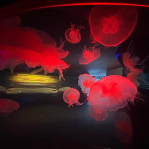 WALKUP (feat. Amiri Moreno)