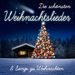 Ich wollte nie Erwachsen sein (Nessaja)