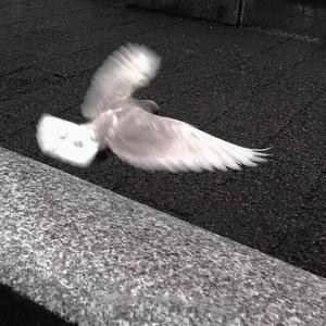 Collapsing World（0.8x 1shy remix）