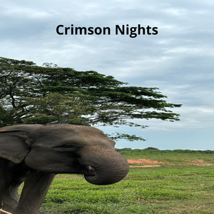 Crimson Nights