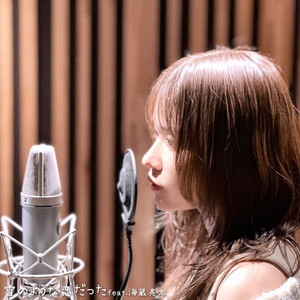 雪のような恋だった