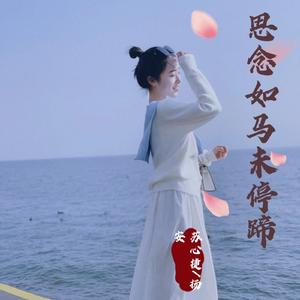 思念如马未停蹄