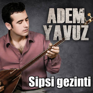 Sipsi gezinti