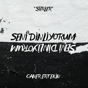 Seni Dinliyorum