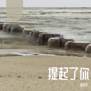 提起了你